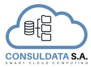 consuldataec.com